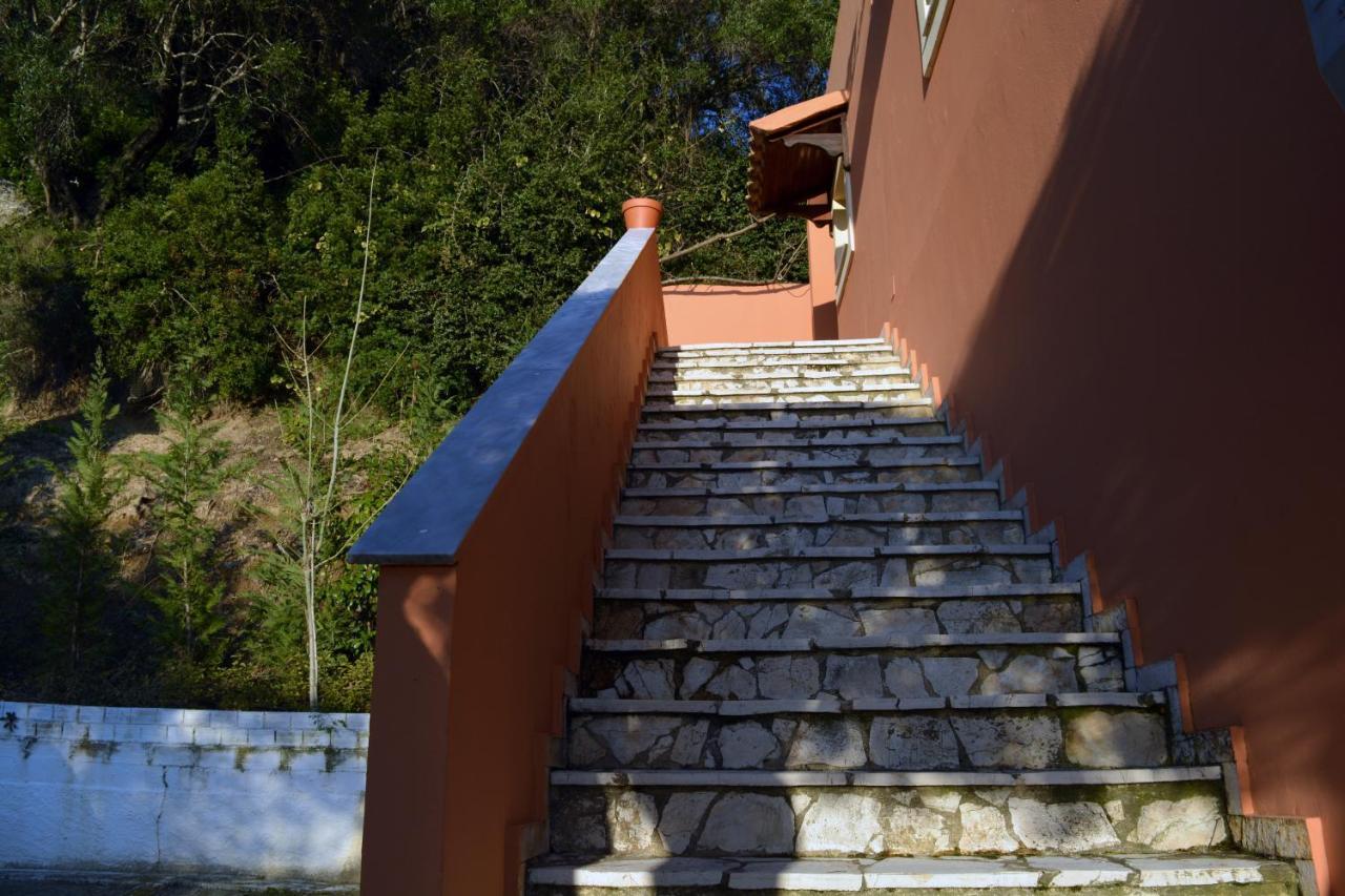 Papadatos Apts With Amazing View - 5Mins From The Beach Kontogialos Exteriér fotografie
