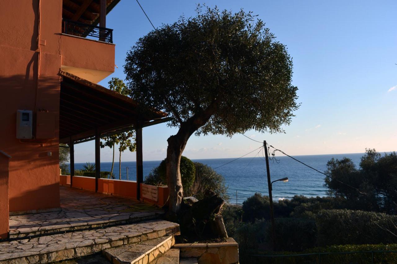 Papadatos Apts With Amazing View - 5Mins From The Beach Kontogialos Exteriér fotografie